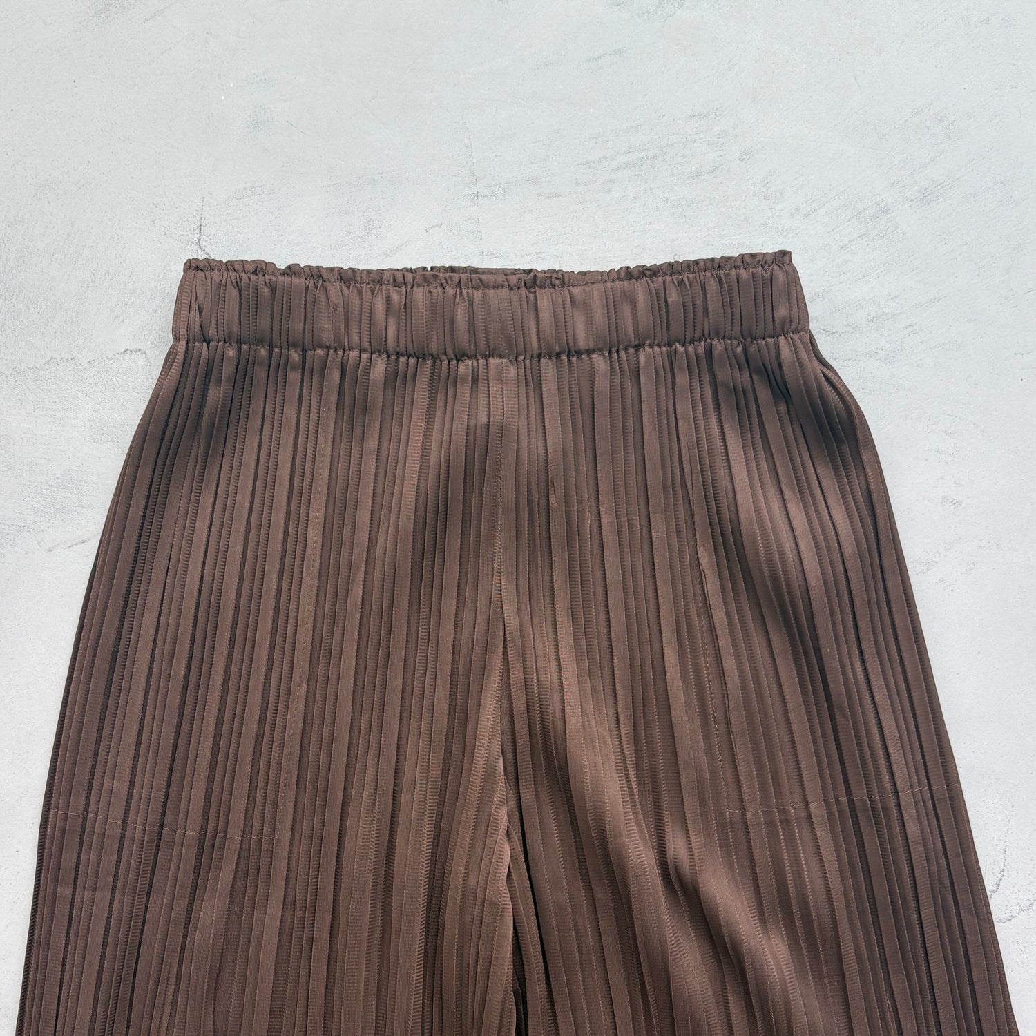 【SAMPLE】pleats pants / brown