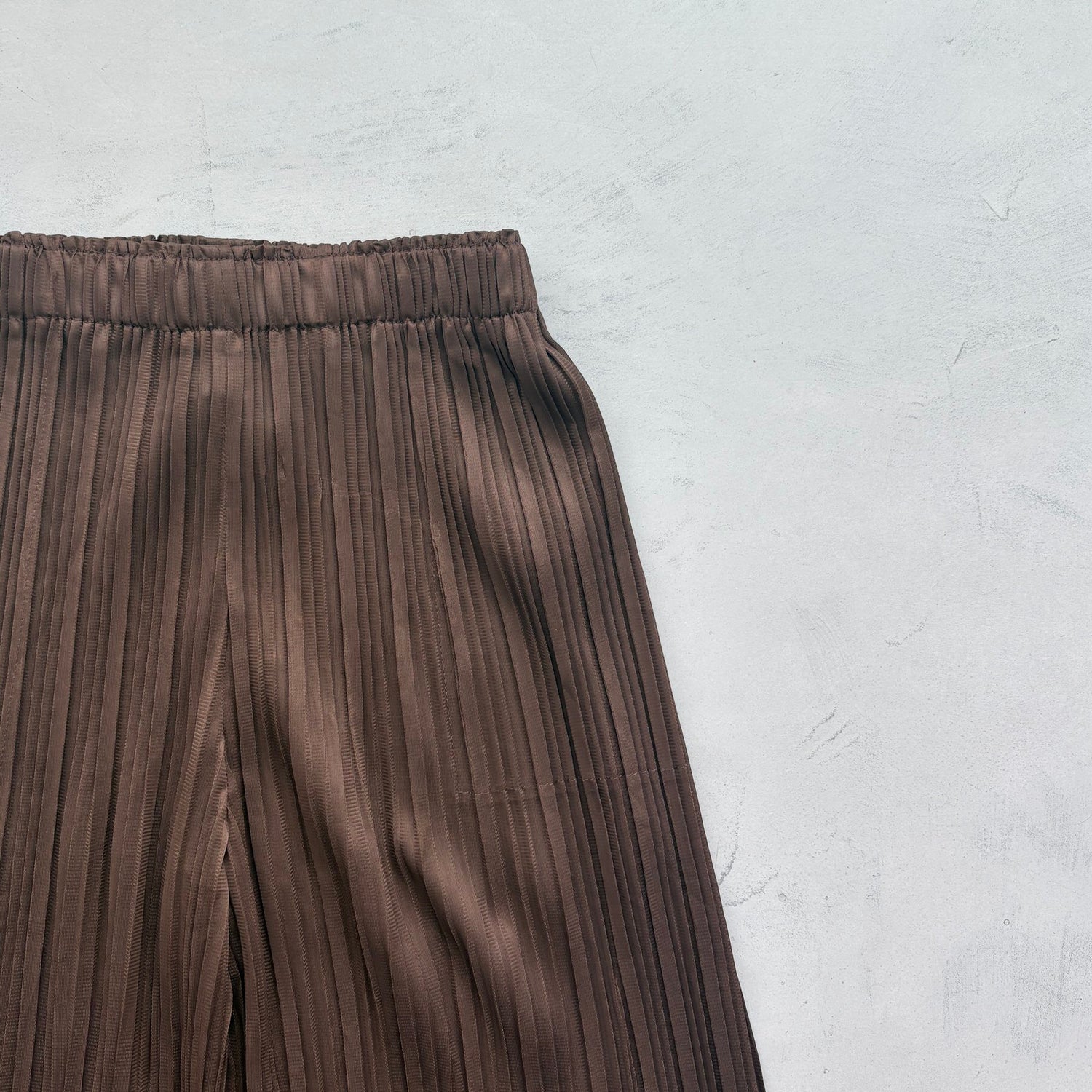 【SAMPLE】pleats pants / brown