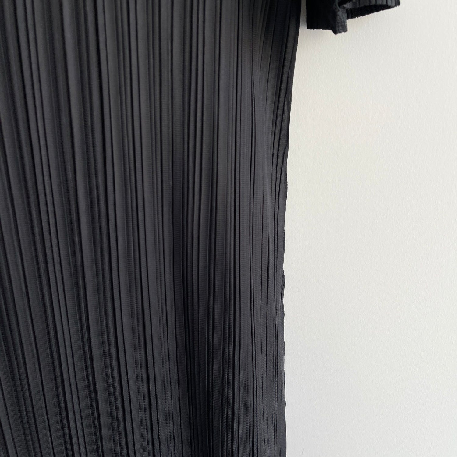 【SAMPLE】pleats sheer one piece / black