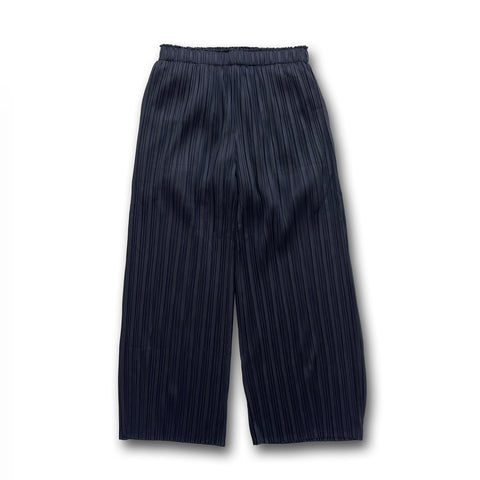 【SAMPLE】pleats pants / black