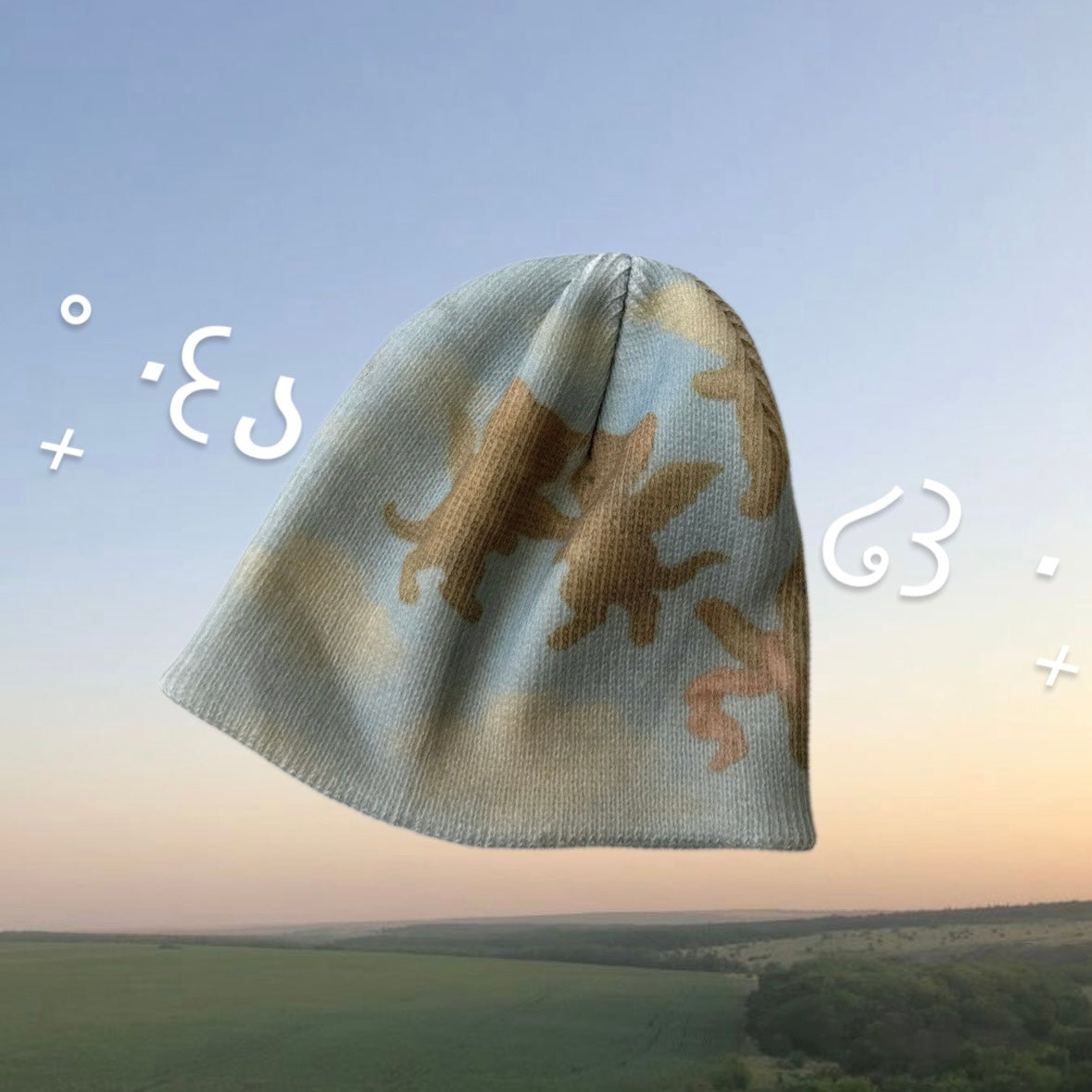 nyan beanie / blue