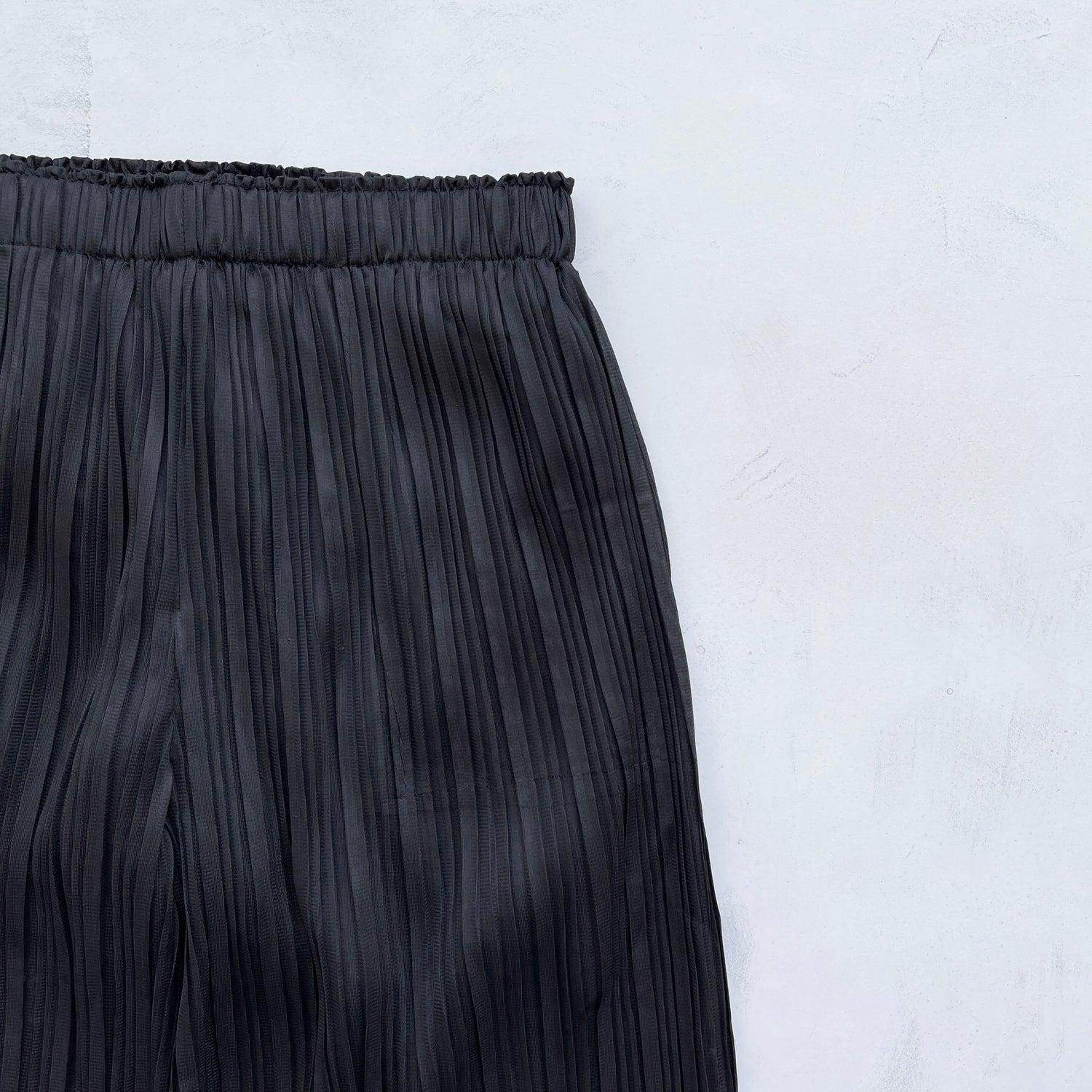 【SAMPLE】pleats pants / black