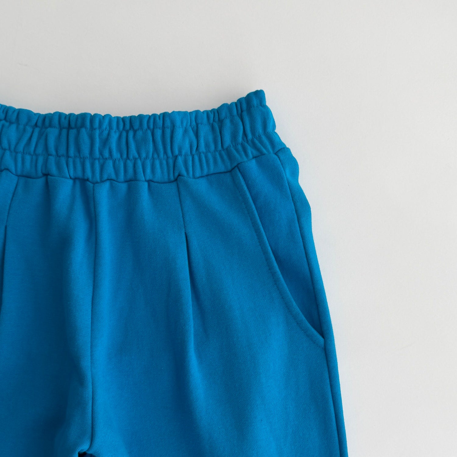 【SAMPLE】sweat color pants / blue