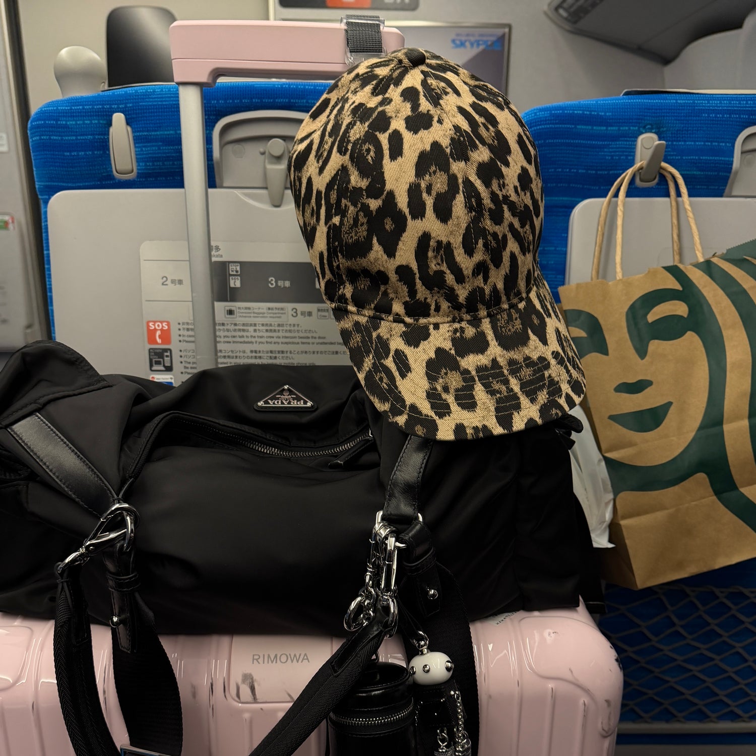 plus one cap / leopard