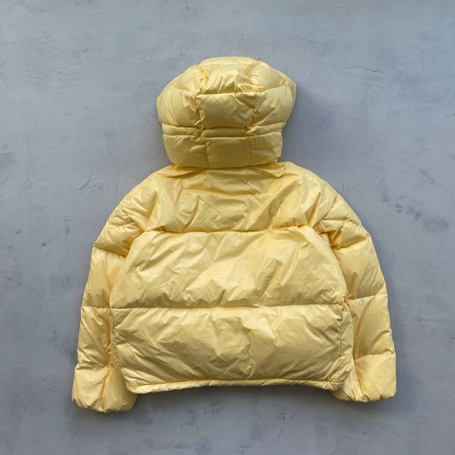 【SAMPLE】luster down jacket /  yellow